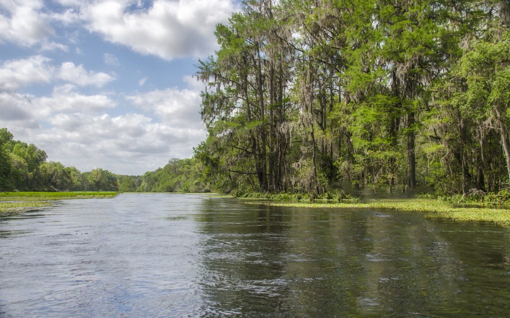 The Ichetucknee River