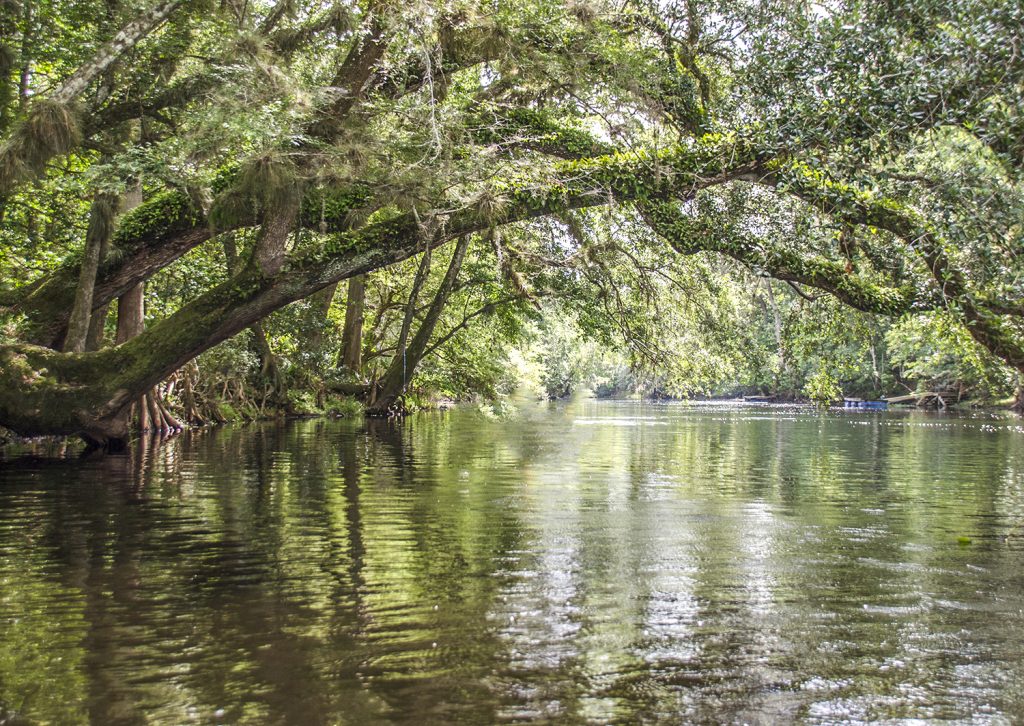 Santa Fe River