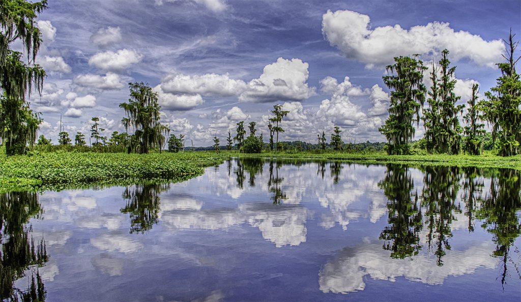 The Ocklawaha River
