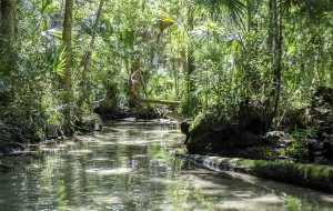 Baird Creek