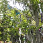 The Decorated 'Bra' Tree