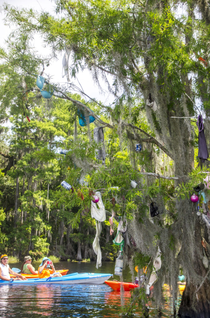 The Decorated 'Bra' Tree