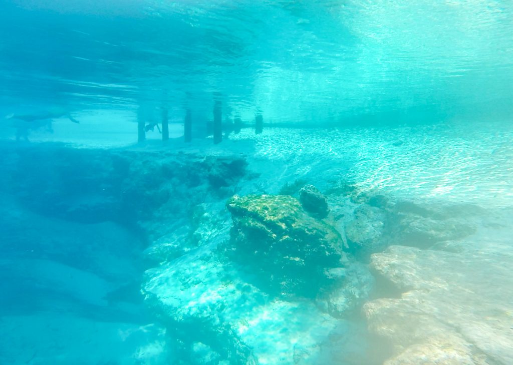 Gilchrist Blue Spring Underwater