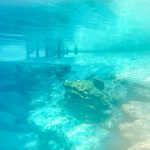 Gilchrist Blue Spring Underwater