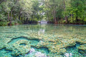 Ginnie Flows into Santa Fe