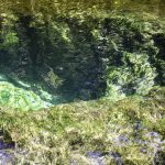 One of Seven Sisters Vents