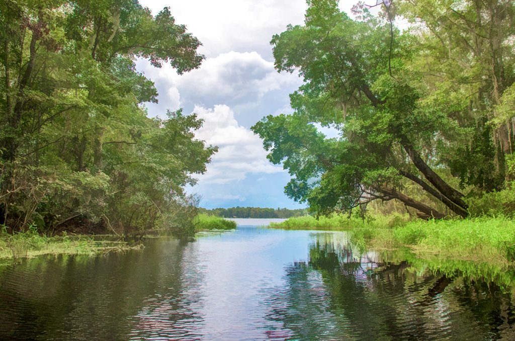 Santa Fe Canal into Lake Alto