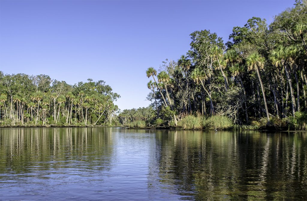 The Chassahowitzka River