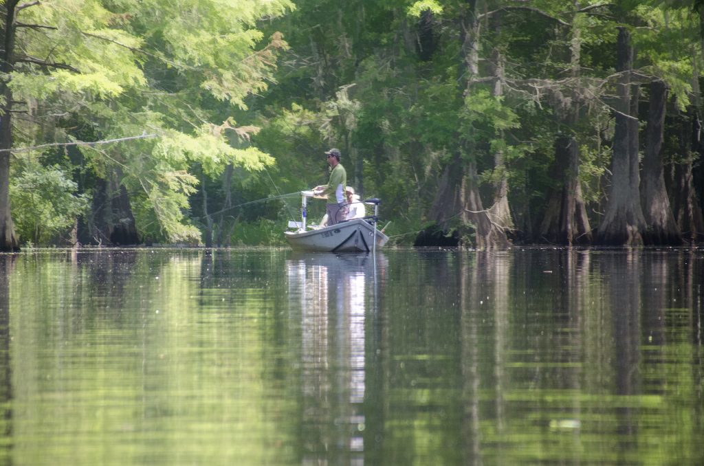 The Fisherman