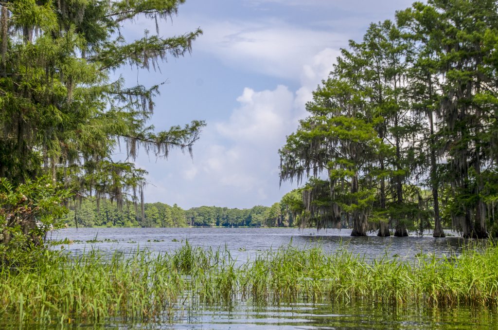 Tsala Apopka Lake Chain - Hampton Lake