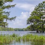 Tsala Apopka Lake - Hampton Lake