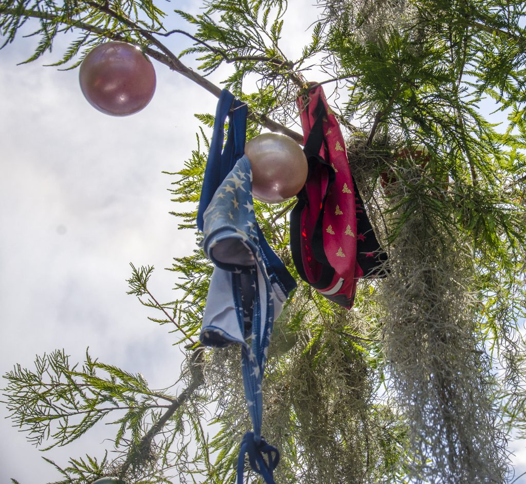 Under the Bra Tree