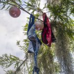 Under the Bra Tree