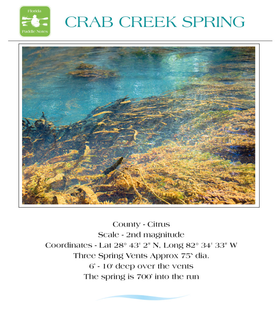 Crab Creek Spring
