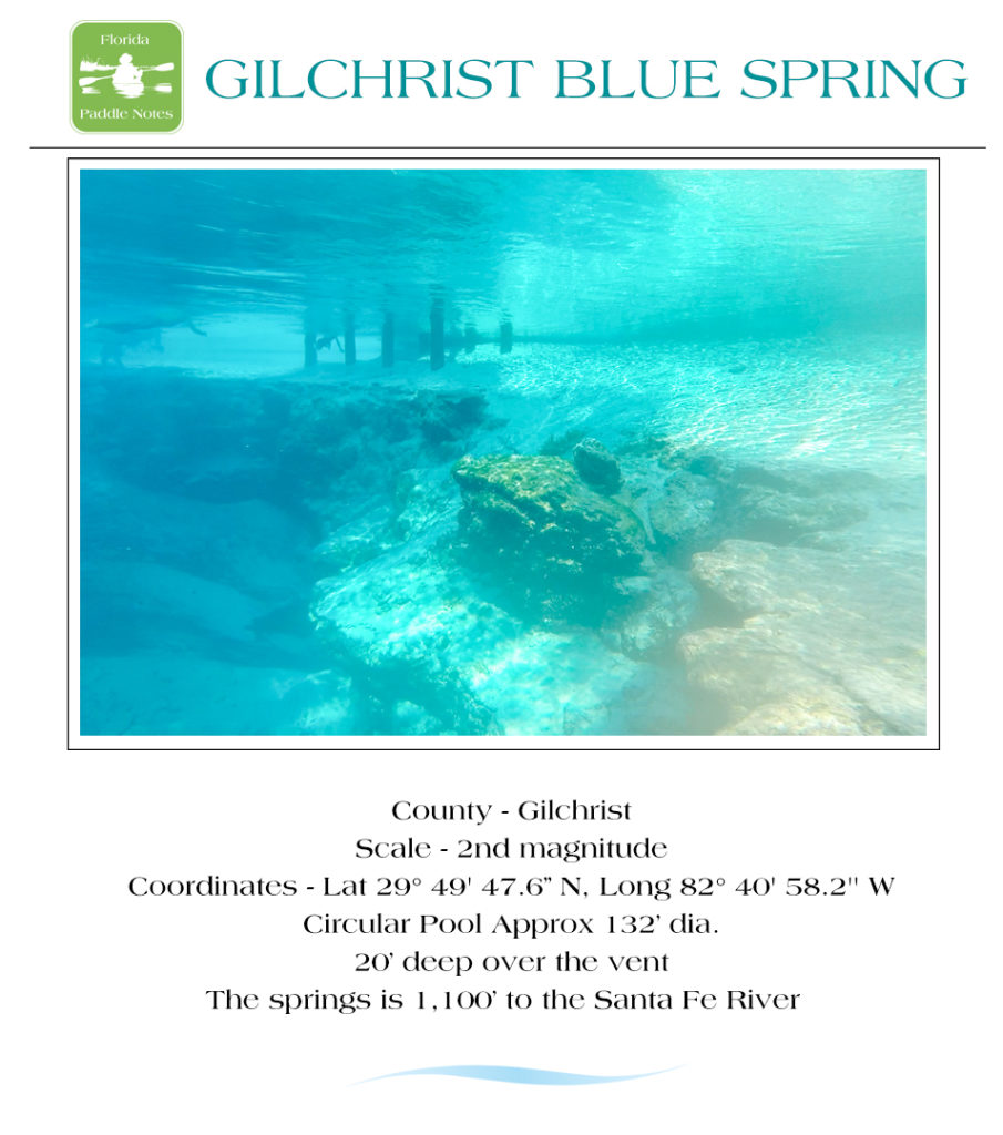 Gilchrist Blue Spring