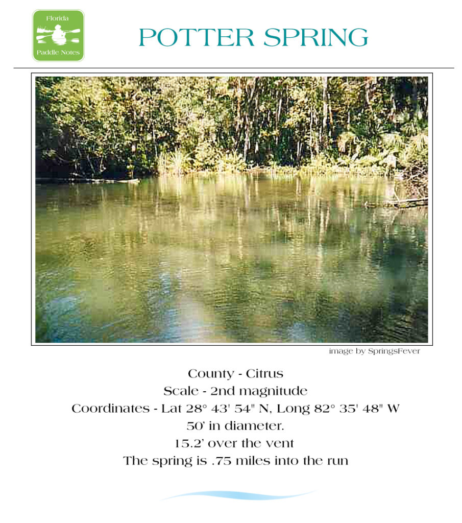 Potter Spring