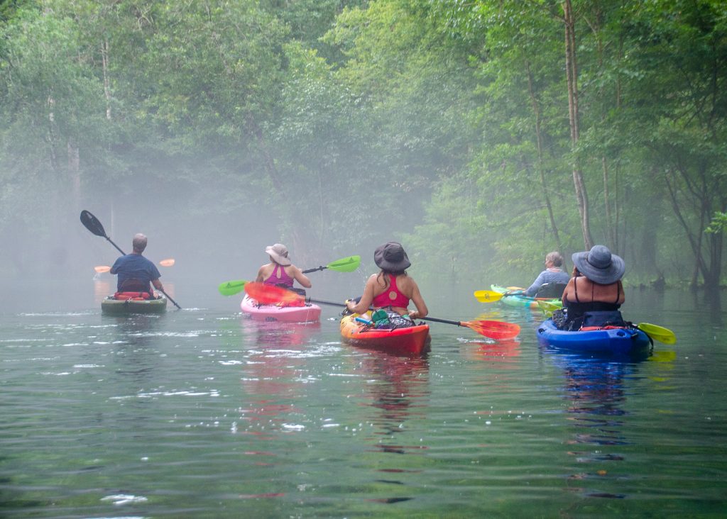 Paddle into a misty Ginnie Springs
