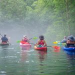 Paddle into a misty Ginnie Springs