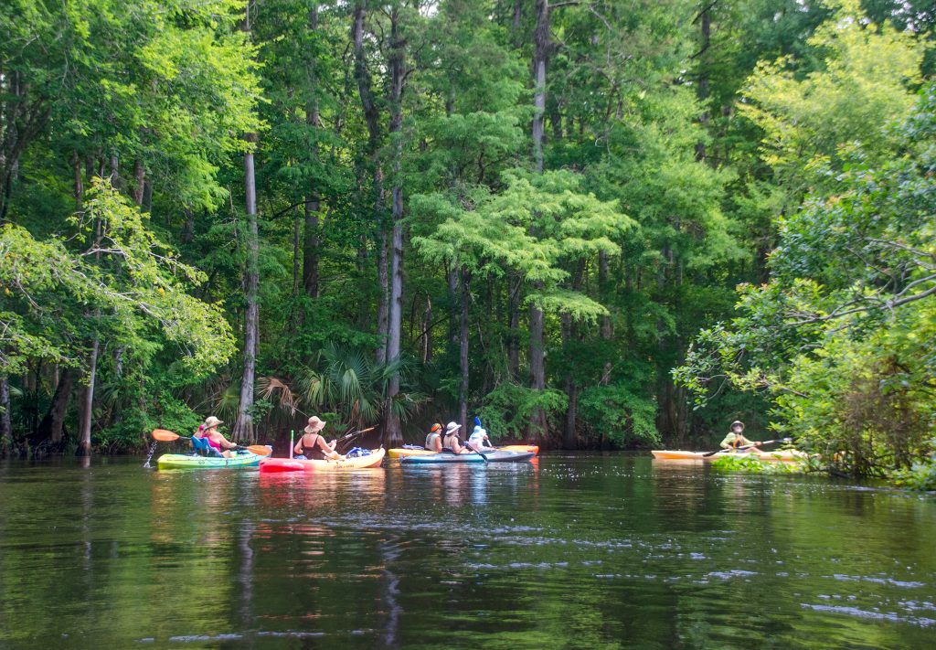 Paddling the Ocklawaha River