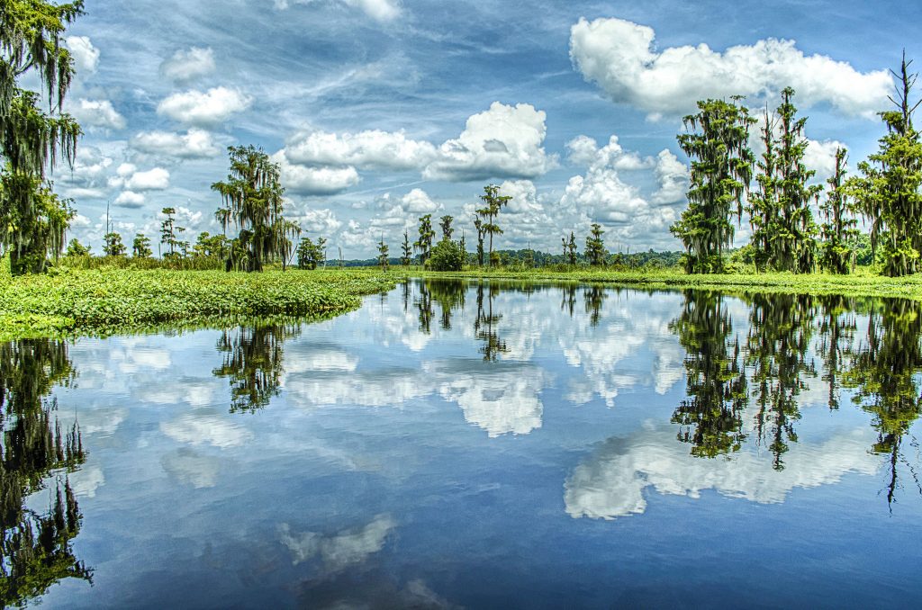 The Ocklawaha River