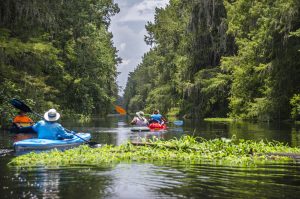 Camp's Canal on Prairie Creek