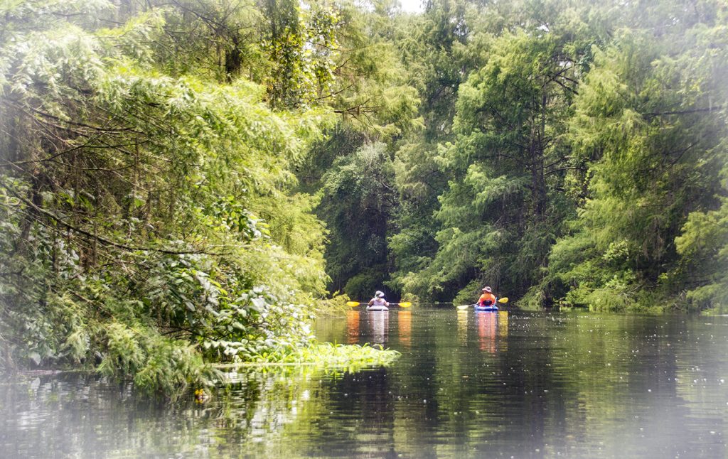 Drifting on Prairie Creek