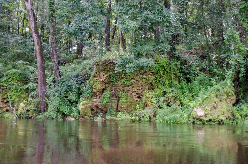 Vegetation conceals much of the lime rock shoreline