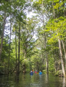 Paddling Prairie Creek