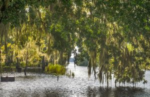 A flooded Powers Park to Newnans Lake