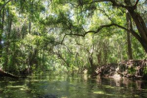 The Santa Fe Canal