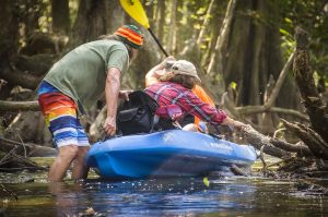 Log jam on Prairie Creek