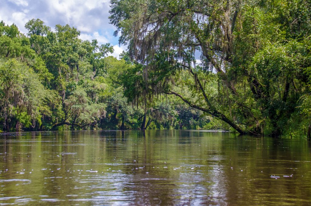 The Withlacoochee River