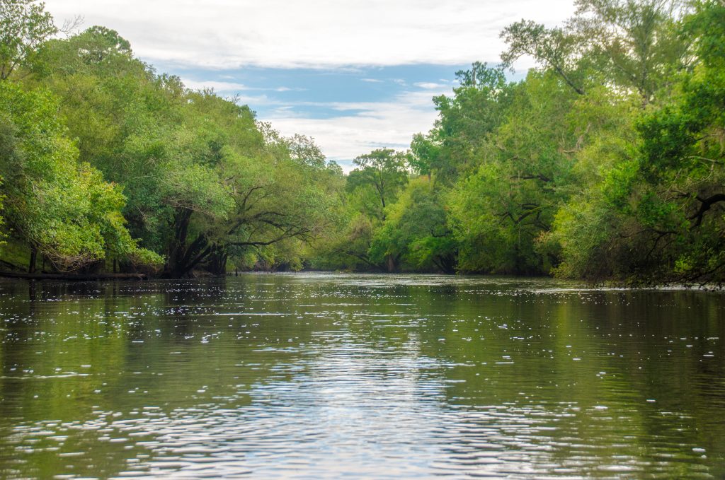 The Withlacoochee River - Georgia
