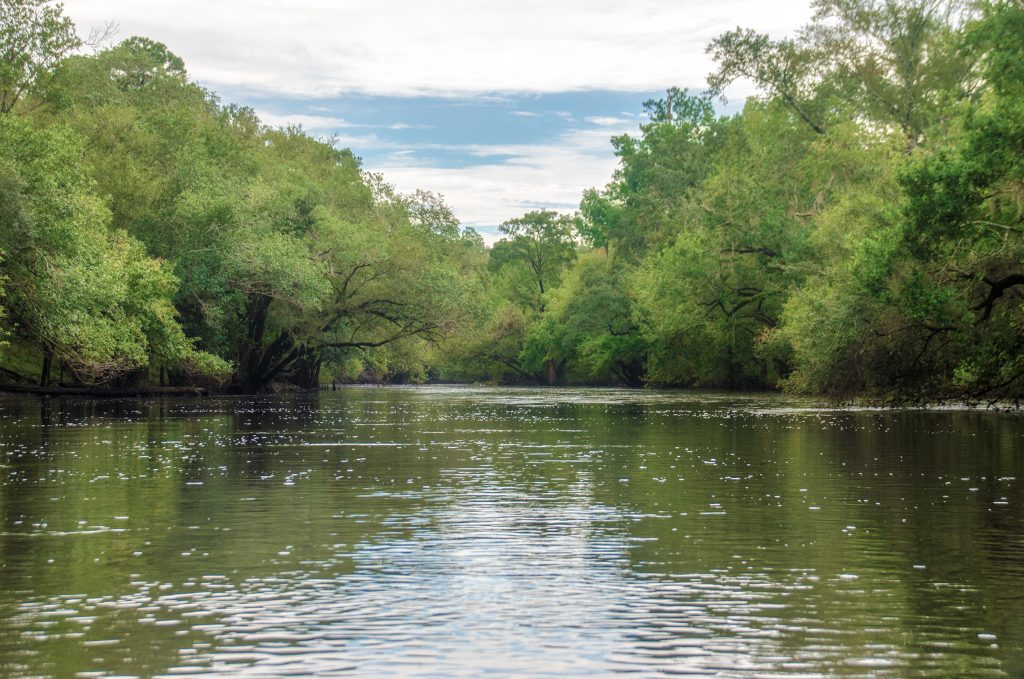 The Withlacoochee River (N)-Georgia