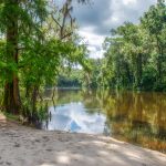 The Withlacoochee River break stop