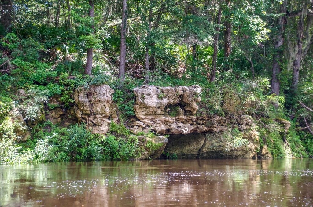 Withlacoochee Shoreline