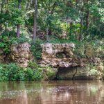 Withlacoochee Shoreline