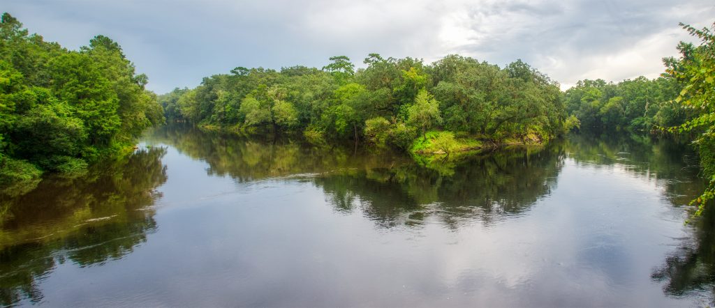 Withlacoochee-Suwannee Confluence