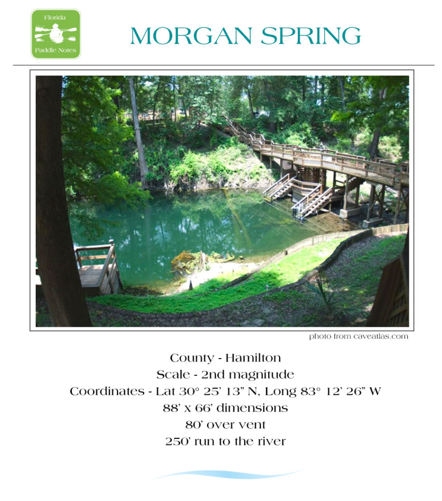 Morgan Spring Information