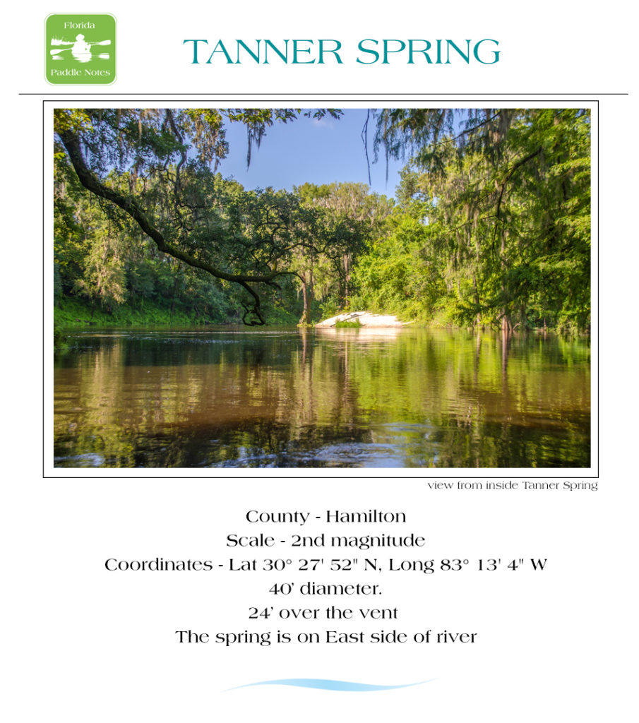 Tanner Spring Information