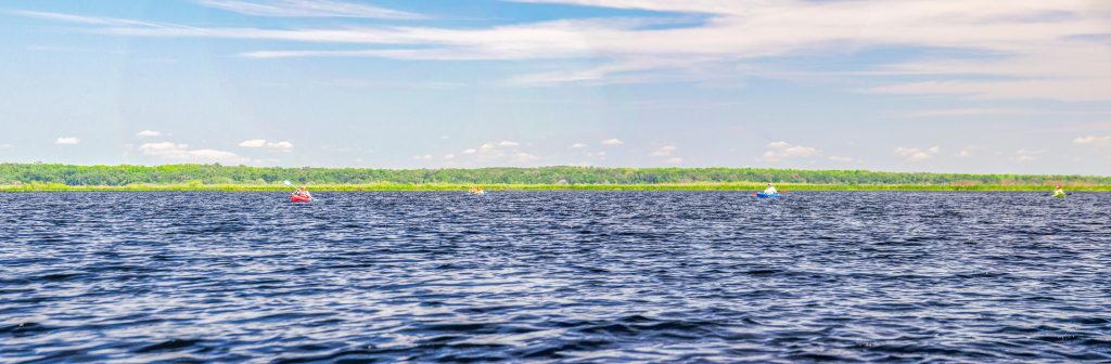 Alachua Lake aka Paynes Prairie