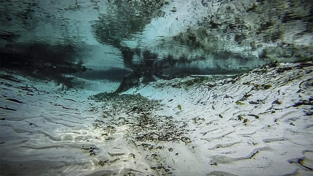 Below the surface of Gissy Spring Run