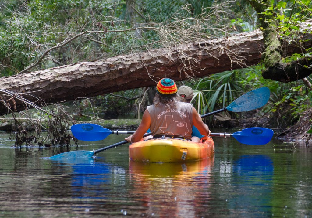 Limbo log on Prairie Creek