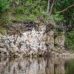 Limestone Shoreline