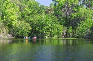 Navigating Alachua Sink