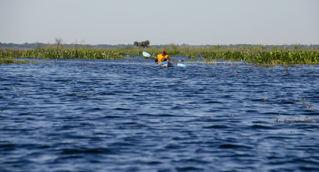 Paddling Alachua Lake aka Paynes Prairie