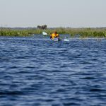 Paddling Alachua Lake aka Paynes Prairie