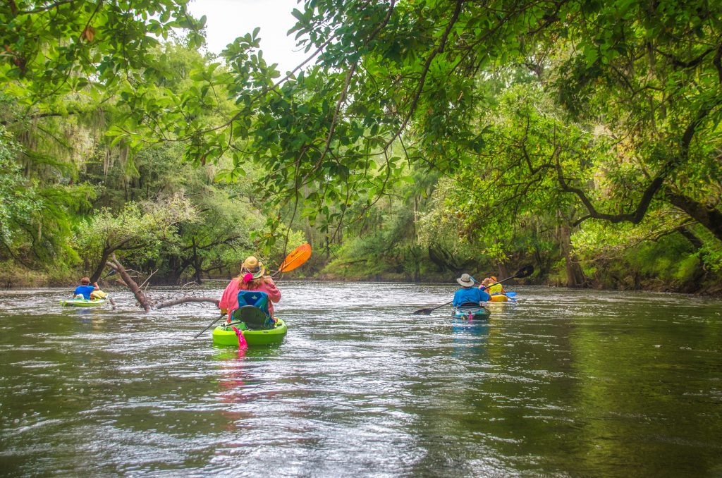 Paddling the Shoals