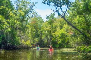 Paddling up Mud Creek