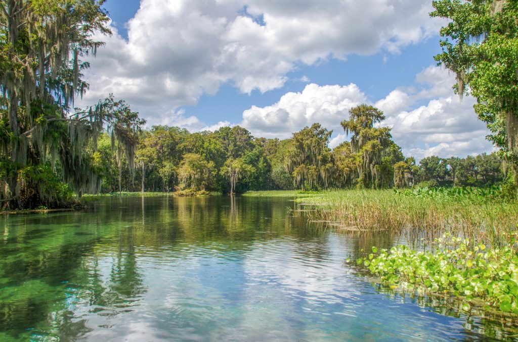 The Scenic Rainbow River